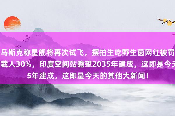 马斯克称星舰将再次试飞，摆拍生吃野生菌网红被罚，极星汽车或将裁人30%，印度空间站瞻望2035年建成，这即是今天的其他大新闻！