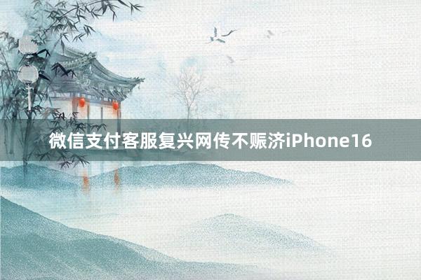 微信支付客服复兴网传不赈济iPhone16