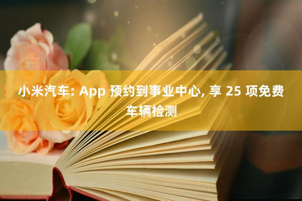 小米汽车: App 预约到事业中心, 享 25 项免费车辆检测