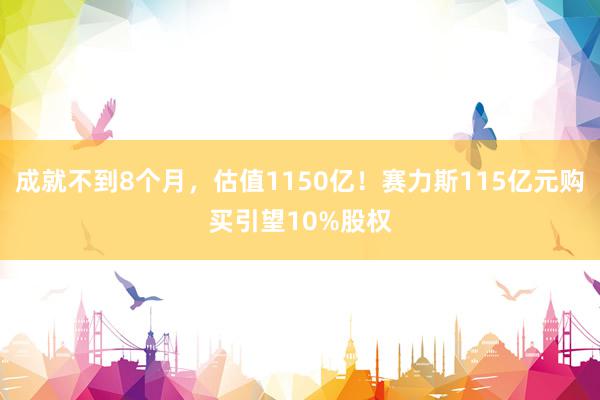 成就不到8个月，估值1150亿！赛力斯115亿元购买引望10%股权