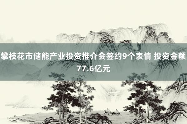 攀枝花市储能产业投资推介会签约9个表情 投资金额77.6亿元